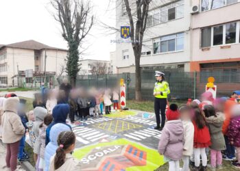 Polițiștii dâmbovițeni continuă sesiunile de informare
