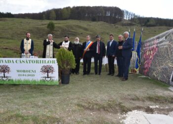 “LIVADA CĂSĂTORIILOR” LA MOROENI