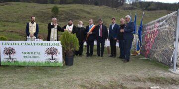 “LIVADA CĂSĂTORIILOR” LA MOROENI