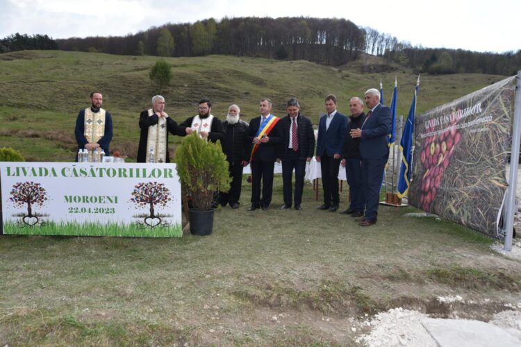 “LIVADA CĂSĂTORIILOR” LA MOROENI