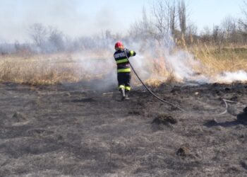 Intervenție în cazul unui incendiu de vegetație uscată în orașul Titu