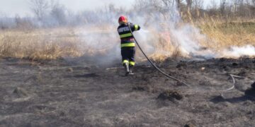 Intervenție în cazul unui incendiu de vegetație uscată în orașul Titu