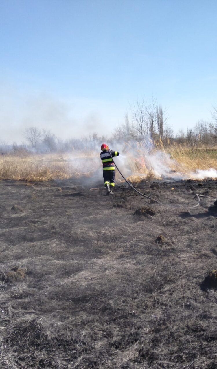 Intervenție în cazul unui incendiu de vegetație uscată în orașul Titu