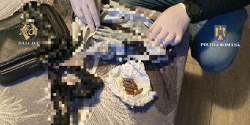 FOTO & VIDEO – PERCHEZIȚII LA PERSOANE BĂNUITE DE TRAFIC DE DROGURI