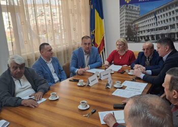 Prefectul Claudia Gilia a prezidat, astăzi, ședința Comitetului Consultativ de Dialog Civic pentru Problemele Persoanelor Vârstnice
