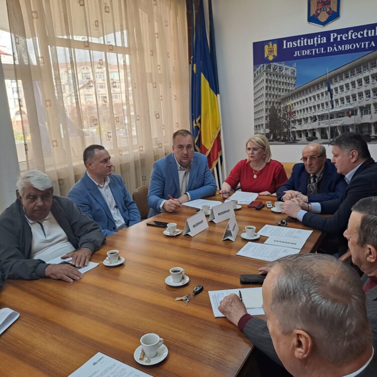 Prefectul Claudia Gilia a prezidat, astăzi, ședința Comitetului Consultativ de Dialog Civic pentru Problemele Persoanelor Vârstnice