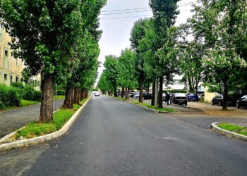 Deplasare în teren în cartierul Mihai Viteazul