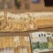 FOTO/VIDEO – GRUP INFRACȚIONAL ORGANIZAT, SPECIALIZAT ÎN PROXENETISM ȘI CĂMĂTĂRIE, DESTUCTURAT
