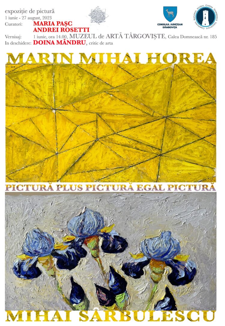 PICTURĂ PLUS PICTURĂ EGAL PICTURĂ  Mihai Sârbulescu