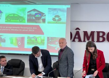 SISTEMUL DE ILUMINAT PUBLIC VA FI MODERNIZAT ÎN TOATĂ COMUNA SĂLCIOARA