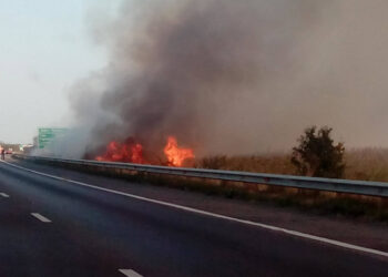 Intervenție în cazul unui incendiu de vegetație uscată pe A1, km 65