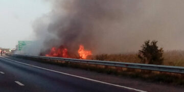 Intervenție în cazul unui incendiu de vegetație uscată pe A1, km 65