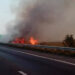 Intervenție în cazul unui incendiu de vegetație uscată pe A1, km 65
