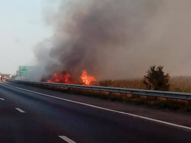 Intervenție în cazul unui incendiu de vegetație uscată pe A1, km 65