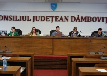 Educația dâmbovițeană – unde dispar banii din alocările bugetare?