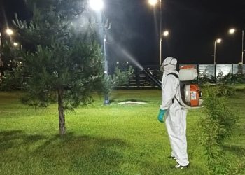 A debutat acțiunea de dezinsecție la sol, pe domeniul public în Târgoviște