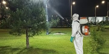 A debutat acțiunea de dezinsecție la sol, pe domeniul public în Târgoviște