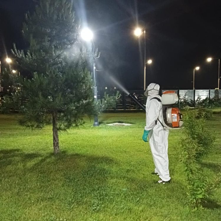 A debutat acțiunea de dezinsecție la sol, pe domeniul public în Târgoviște