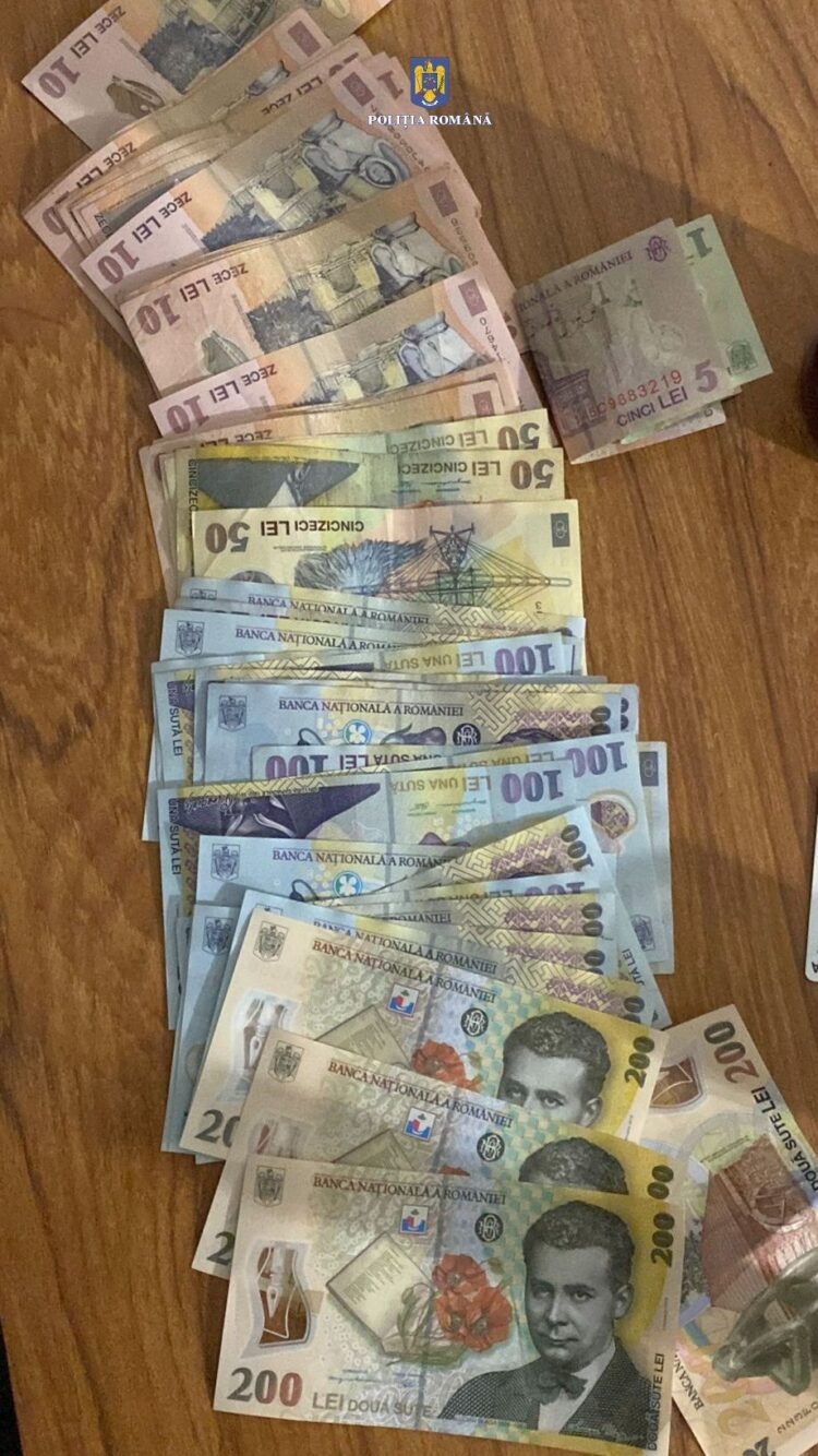 Cercetați de polițiști sub aspectul săvârșirii infracțiunii de furt calificat