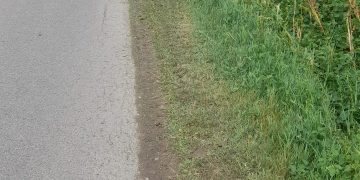 Lucrări de curățenie și modernizare în Comuna Butimanu