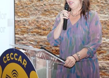 Deputat Carmen Holban: Mesaj de Ziua Națională a Contabilului Român!