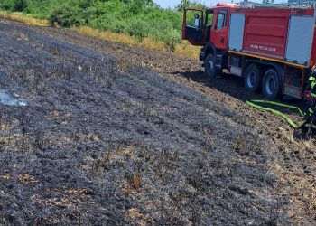 Incendiu izbucnit la o cultură de orz din orașul Răcari, sat Ghergani