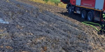 Incendiu izbucnit la o cultură de orz din orașul Răcari, sat Ghergani
