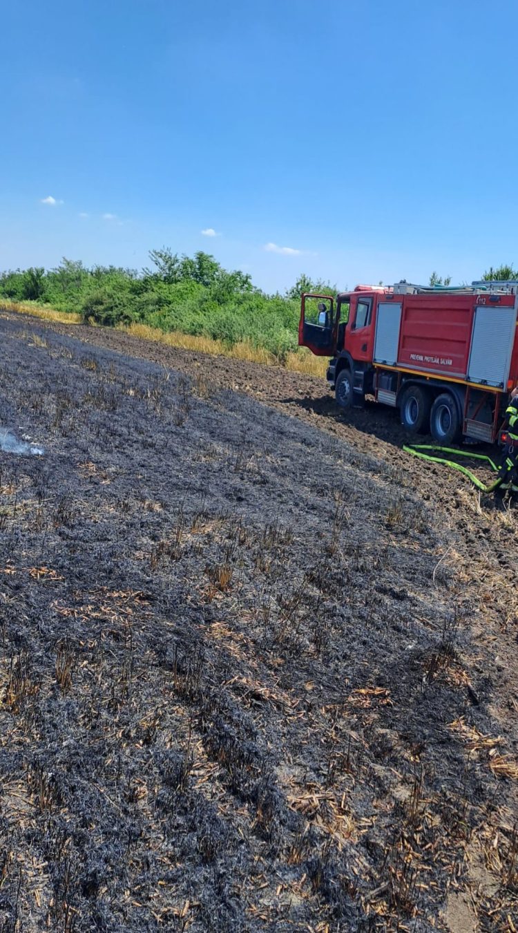 Incendiu izbucnit la o cultură de orz din orașul Răcari, sat Ghergani