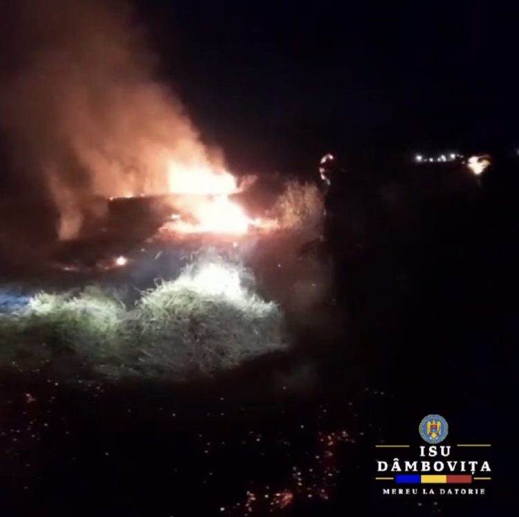 VIDEO – Intervenție în cazul unui incendiu de vegetație uscată în localitatea Ghergani