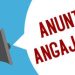 A N U N Ț -Școala Gimnazială Șelaru angajează muncitor calificat