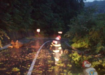 În urma manifestării fenomenelor meteorologice pompierii au intervenit în 10 localități din județul Dâmbovița pentru degajarea a 12 copaci căzuți