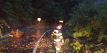 În urma manifestării fenomenelor meteorologice pompierii au intervenit în 10 localități din județul Dâmbovița pentru degajarea a 12 copaci căzuți