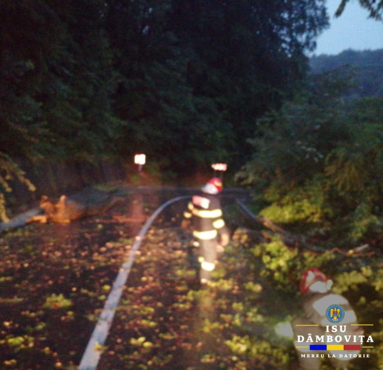 În urma manifestării fenomenelor meteorologice pompierii au intervenit în 10 localități din județul Dâmbovița pentru degajarea a 12 copaci căzuți