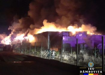 VIDEO/ Incendiu izbucnit la o hală și la o clădire învecinată în Comuna Crevedia, sat Dârza