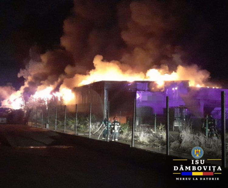 VIDEO/ Incendiu izbucnit la o hală și la o clădire învecinată în Comuna Crevedia, sat Dârza