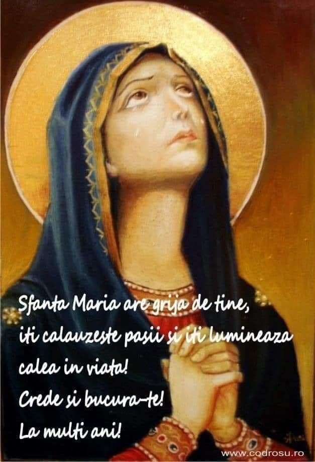 VEZI MESAJUL PRIMARULUI COMUNEI SĂLCIOARA, PÂRVU VALENTIN, CU OCAZIA SF. MARIA