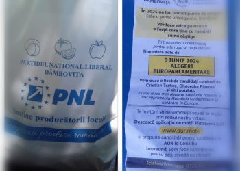 Ipocrizia politică este dusă la un alt nivel de filialele PNL și AUR Dâmbovița!