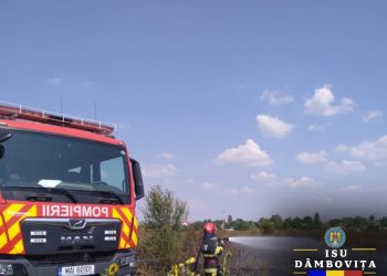 Intervenție în cazul unui incendiu de vegetație uscată în comuna Cojasca, sat Iazu.