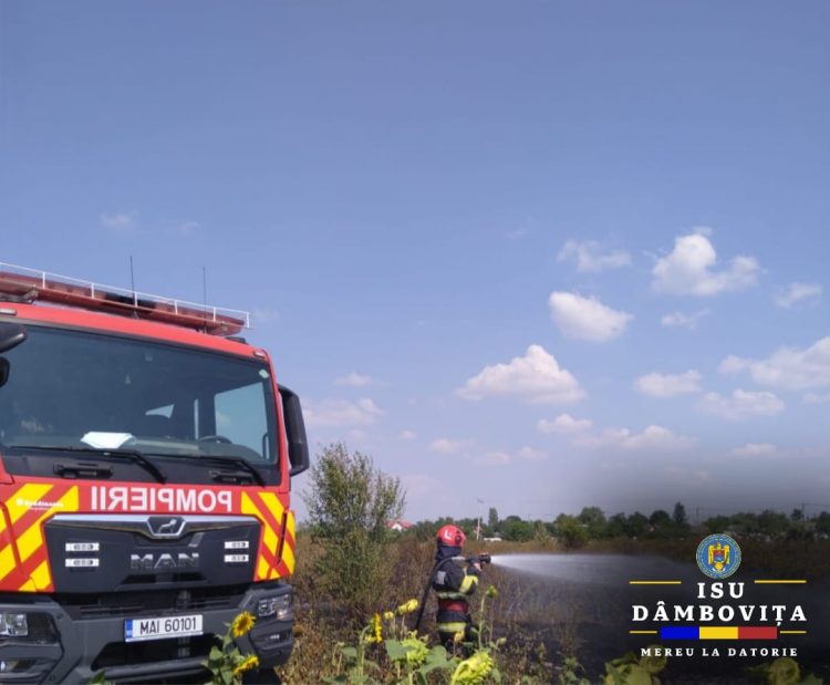 Intervenție în cazul unui incendiu de vegetație uscată în comuna Cojasca, sat Iazu.