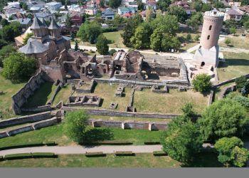 COMPLEXUL NAŢIONAL MUZEAL „CURTEA DOMNEASCĂ” TÂRGOVIŞTE SE ALĂTURĂ PROIECTULUI INTERNAȚIONAL DE CONSERVARE DIGITALĂ A PATRIMONIULUI CULTURAL