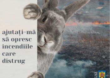 Opriți arderea vegetației uscate și evitați tragediile!