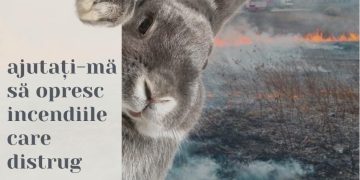 Opriți arderea vegetației uscate și evitați tragediile!