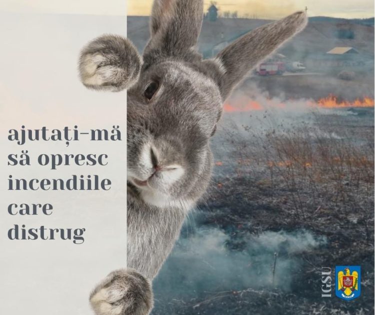 Opriți arderea vegetației uscate și evitați tragediile!