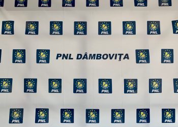 USR îi folosește pe dâmbovițeni, pe post de scut, în jocurile politice murdare