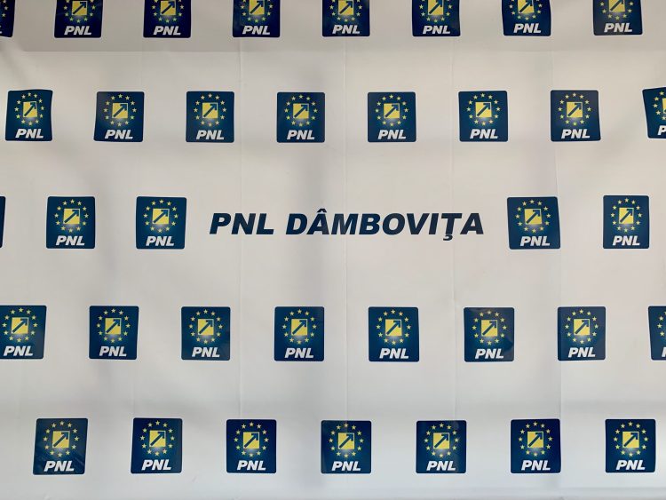 USR îi folosește pe dâmbovițeni, pe post de scut, în jocurile politice murdare