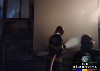 Intervenție în cazul unui incendiu la o anexă gospodărească în comuna Mănești, sat Drăgăești-Pământeni.