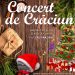 Școala Populară de Arte „Octav Enigărescu”, organizează, în data de 15 decembrie, „Concert de Crăciun”