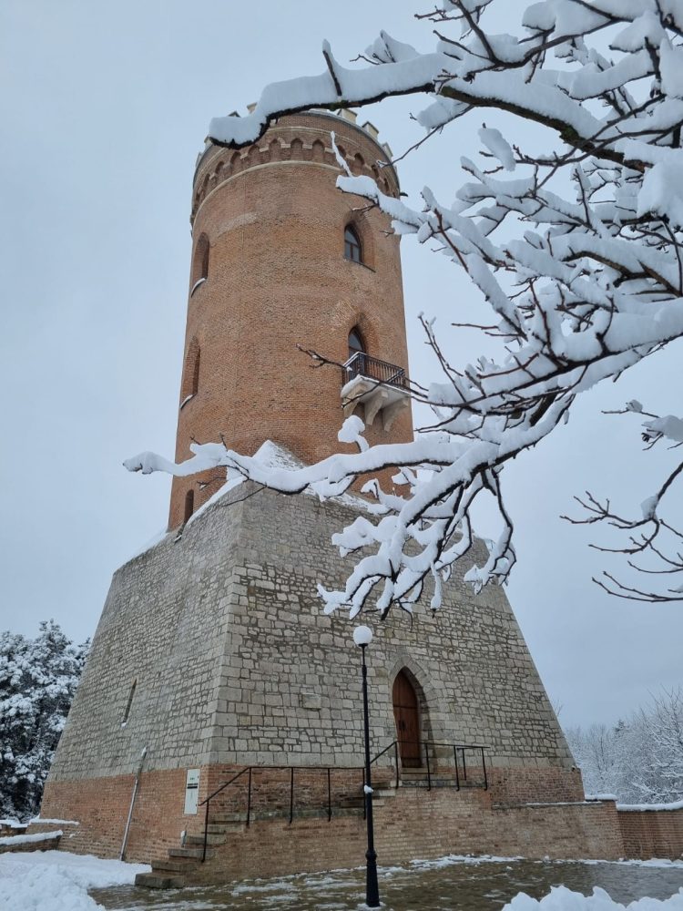 PROGRAMUL MUZEELOR DIN CADRUL COMPLEXULUI NAŢIONAL MUZEAL „CURTEA DOMNEASCĂ” TÂRGOVIŞTE ÎN DATA DE 24 IANUARIE 2024, ZIUA UNIRII PRINCIPATELOR ROMÂNE