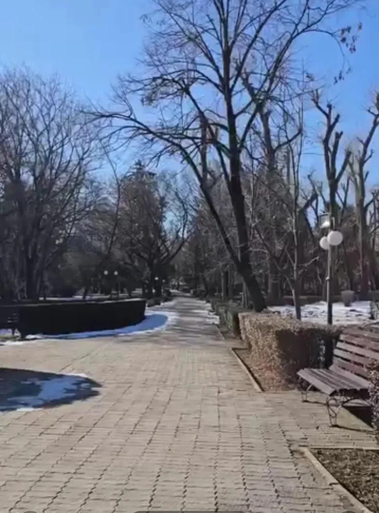Vesti bune legate de proiectul de reabilitare a parcului Chindia!