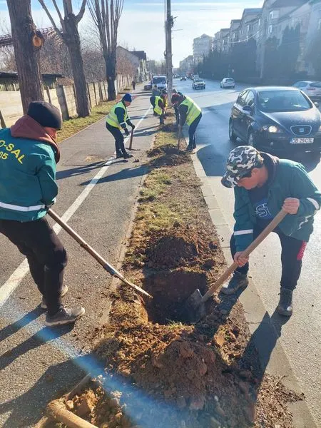 Mai mult de 1000 de arbori gata de plantare în Târgoviște